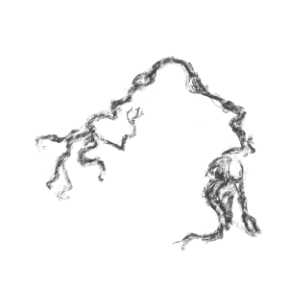 Drawing of a tree in snow - tri ngo